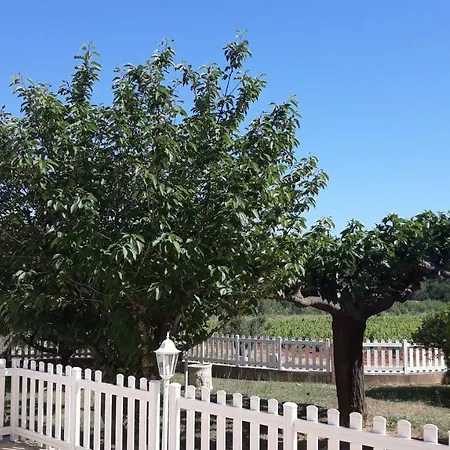 B&B Sous Les Pins Et D'hotes 4*