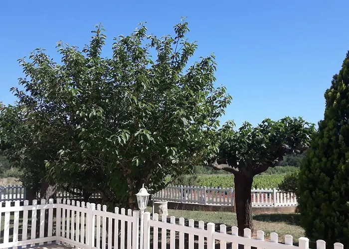 ベッド・アンド・ブレックファスト Sous Les Pins Et D'hotes 4*